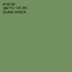 #72915F - Glade Green Color Image